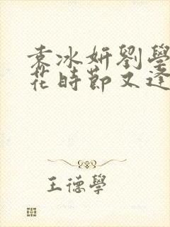 袁冰妍刘学义落花时节又逢君