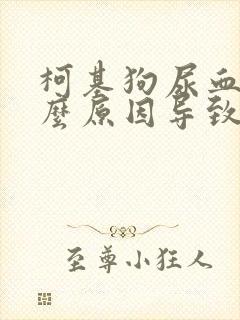 柯基狗尿血是什么原因导致的呢封面