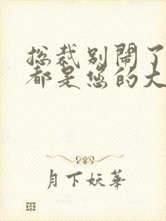 总裁别闹了孩子都是您的大结局