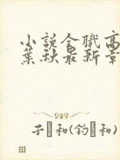 小说全职高手·叶秋最新章节在线