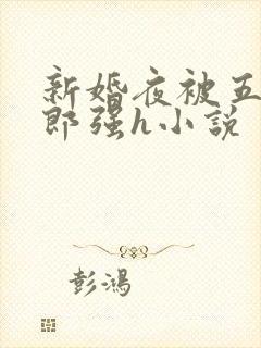 新婚夜被五个伴郎强h小说