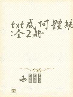 txt成何体统:全2册