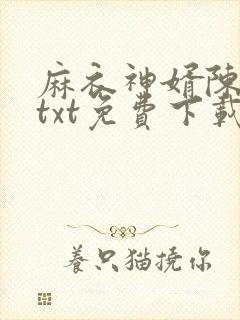 麻衣神婿陈黄皮txt免费下载封面