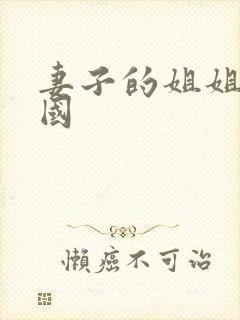 妻子的姐姐3韩国