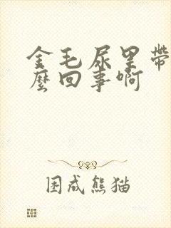 金毛尿里带血怎么回事啊