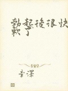 勃起后很快就变软了封面