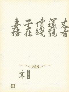 妻子偿还丈夫债务在线观看