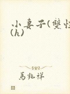 小妻子(双性)(h)