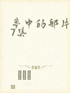 梦中的那片海27集封面