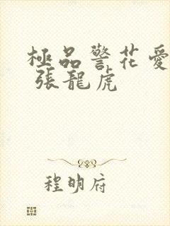 极品警花爱上我 张龙虎封面