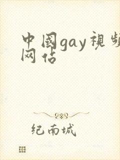 中国gay视频网站封面