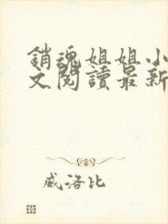 销魂姐姐小说全文阅读最新章节列表