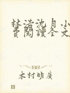 林浩沈月小说免费阅读全文封面