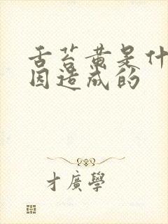 舌苔黄是什么原因造成的