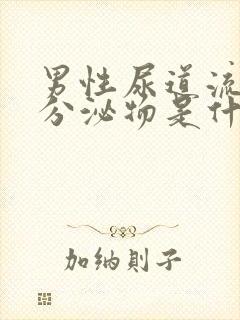 男性尿道流白色分泌物是什么原因