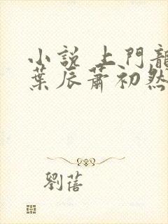 小说 上门龙婿叶辰萧初然