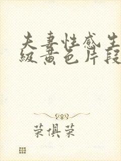 夫妻性感生活一级黄色片段