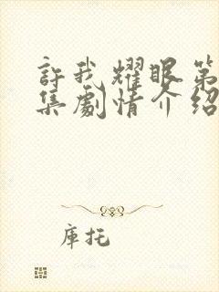 许我耀眼第13集剧情介绍