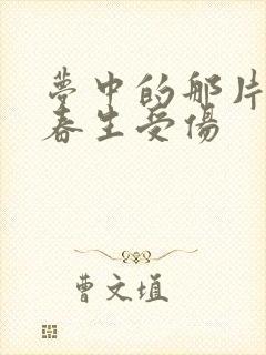 梦中的那片海肖春生受伤