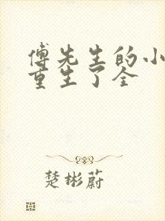 傅先生的小祖宗重生了全