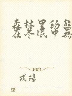 森林里的熊先生在冬眠中无马赛克