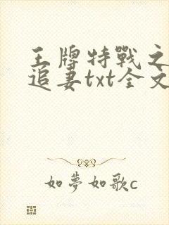 王牌特战之权少追妻txt全文下载