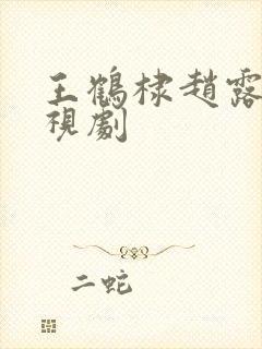 王鹤棣赵露思电视剧封面