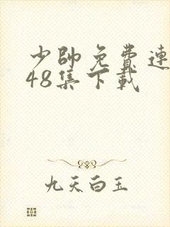 少帅免费连续剧48集下载