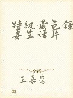 特级黄色录像夫妻生活片