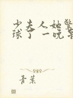 少夫人她惊艳全球了 一晚星河