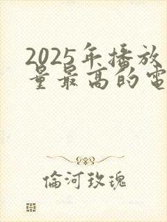 2025年播放量最高的电视剧
