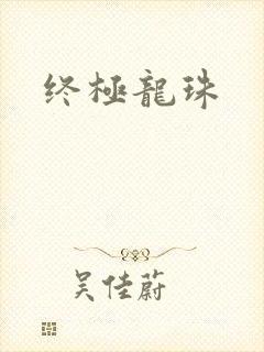 终极龙珠