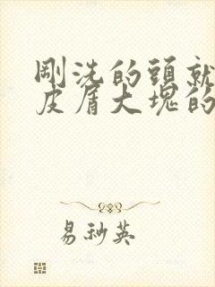 刚洗的头就有头皮屑大块的怎么办封面