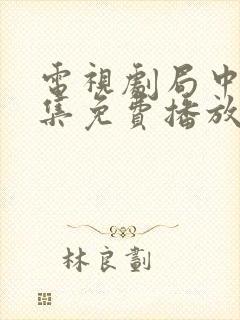 电视剧局中人全集免费播放