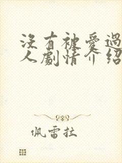 没有被爱过的女人剧情介绍封面