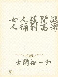 女人张开腿让男人桶到高潮