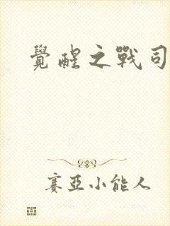 觉醒之战司空震封面