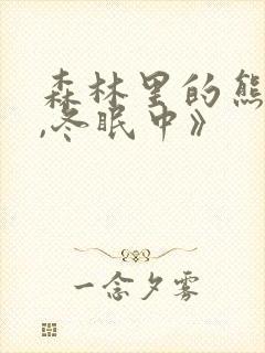 森林里的熊先生,冬眠中》