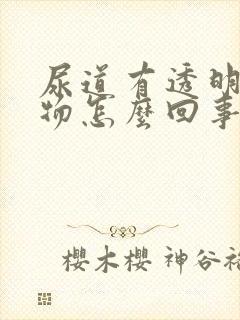 尿道有透明分泌物怎么回事封面