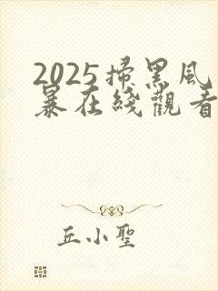2025扫黑风暴在线观看完整版免费观看封面