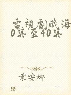 电视剧藏海传20集至40集