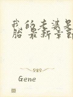 我的老婆是双胞胎 最新章节 无弹窗