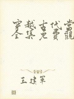 穿越古代当家丁全集免费观看