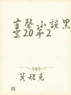 有声小说黑道风云20年2