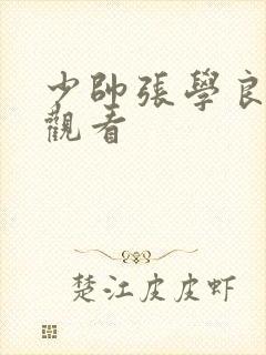 少帅张学良免费观看