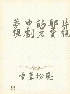 梦中的那片海电视剧免费观看完整版高清