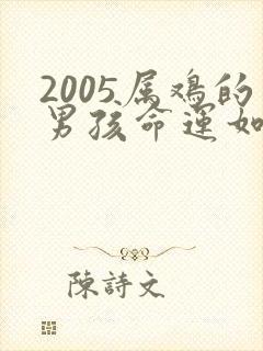 2005属鸡的男孩命运如何封面