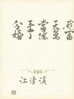 分手当天,我闪婚了亿万富豪免费看