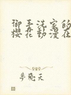 御手洗家的故事樱花动漫在线观看封面