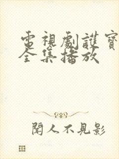 电视剧护宝寻踪全集播放